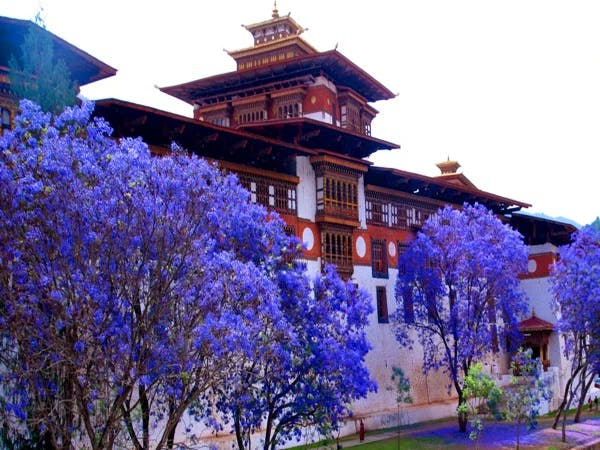 Punakha Bhutan Tour