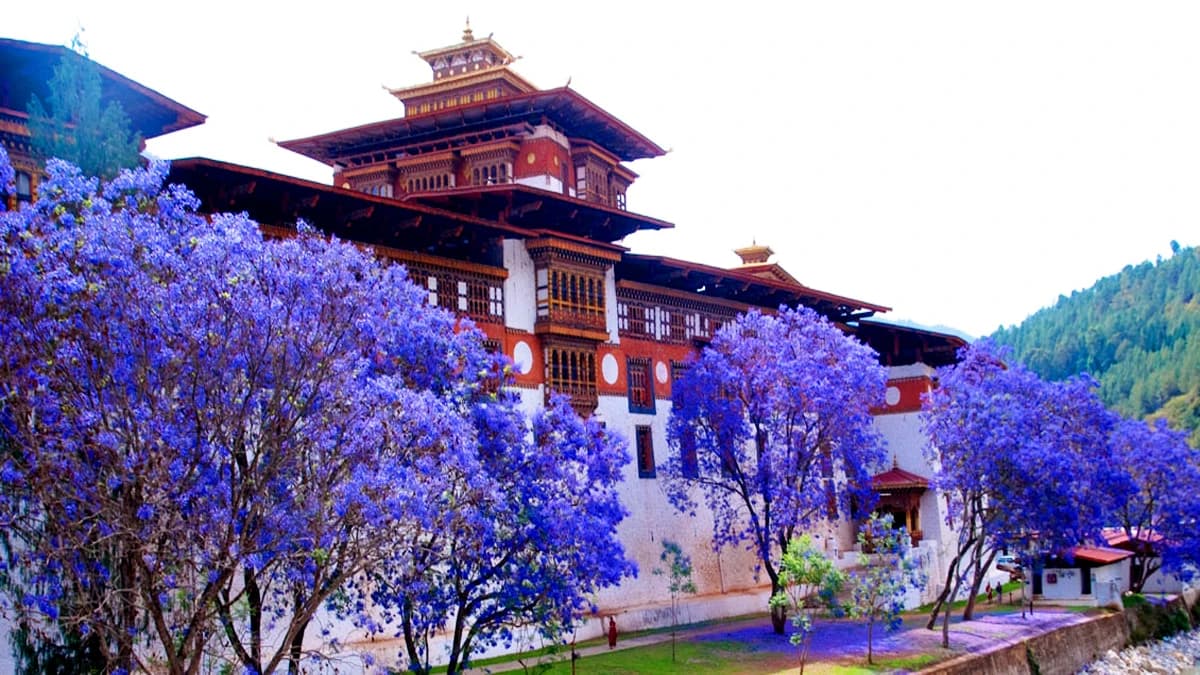 Short Bhutan Tour from Nepal: 5 Days