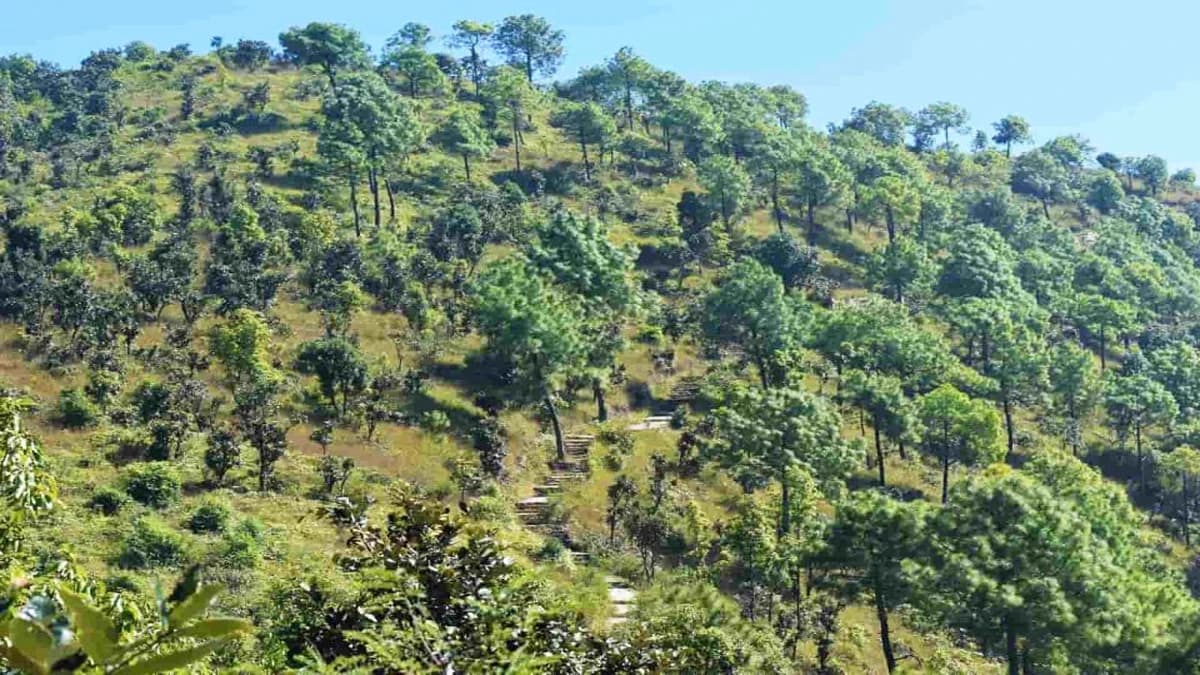 Champadevi Hiking