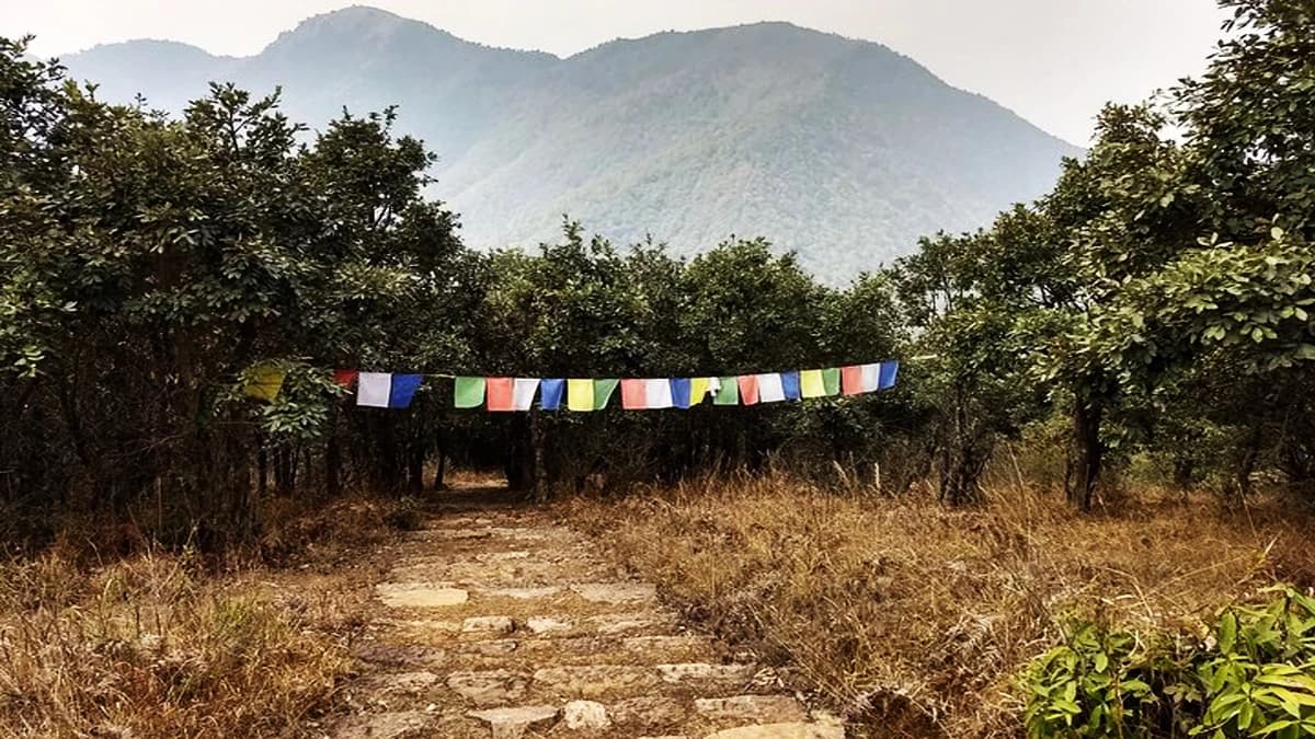 Champadevi Hiking