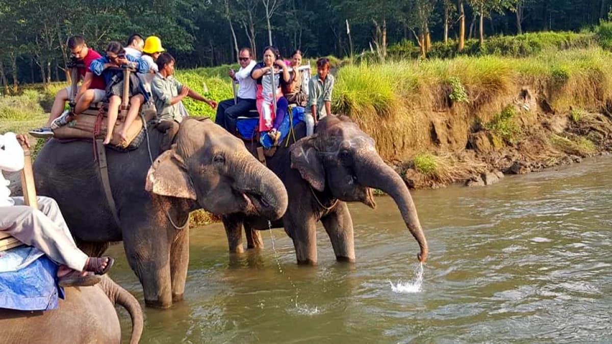 Chitwan Safari Tour :2 Nights/3 Days