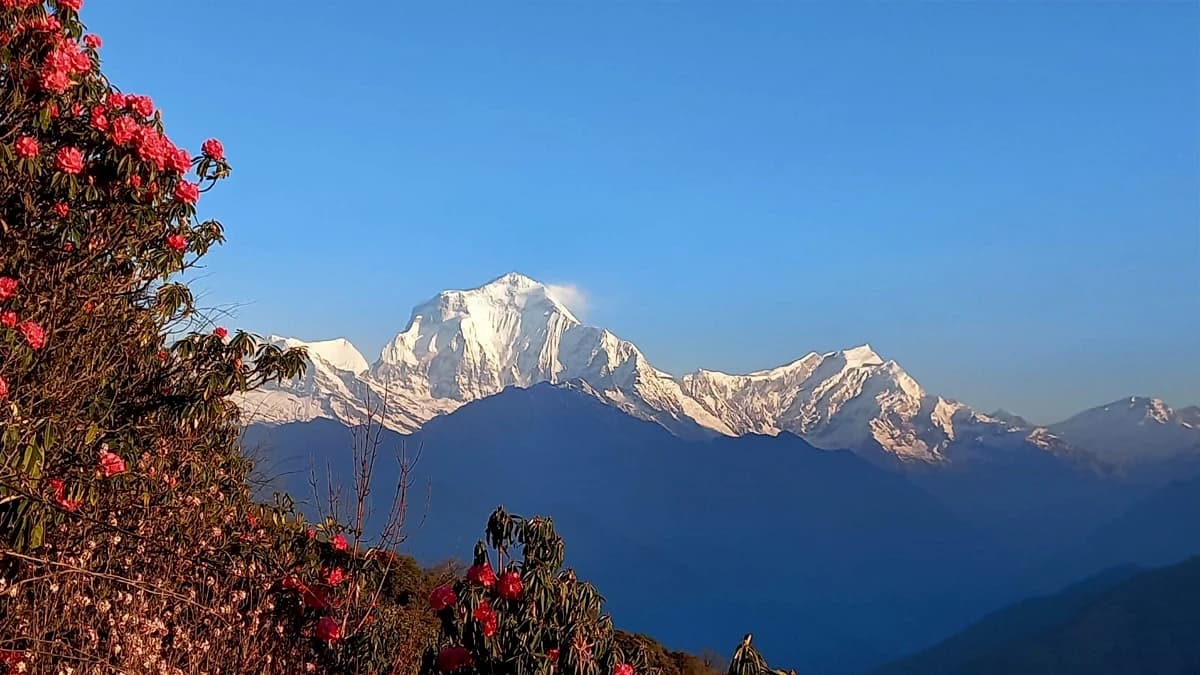 Dhaulagiri Circuit Trek -16 Days