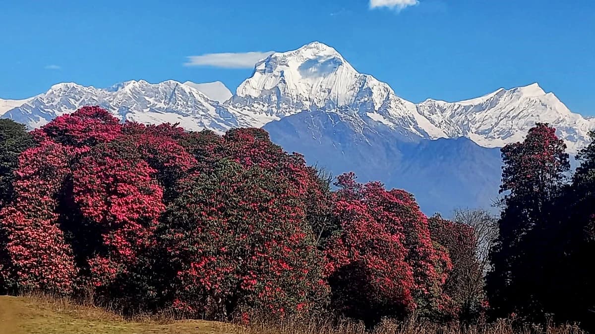 2 Days Ghorepani Trek