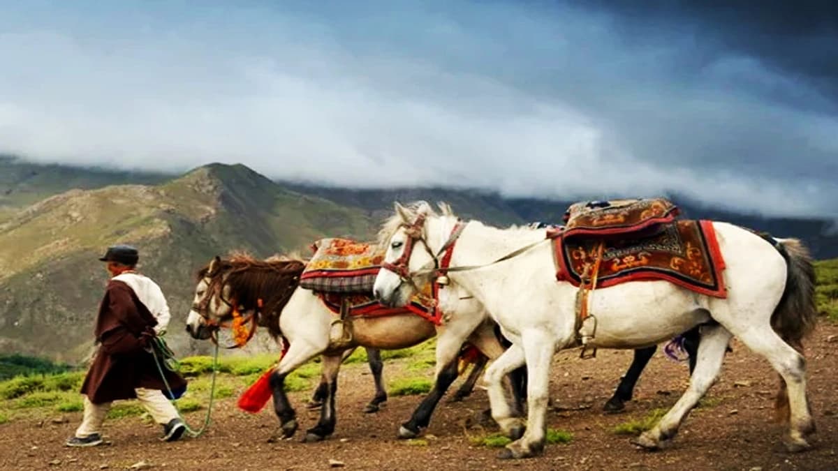 Lower Mustang Horse Riding Tour
