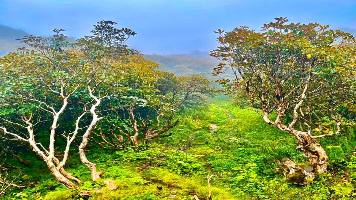 Kori Danda Trek