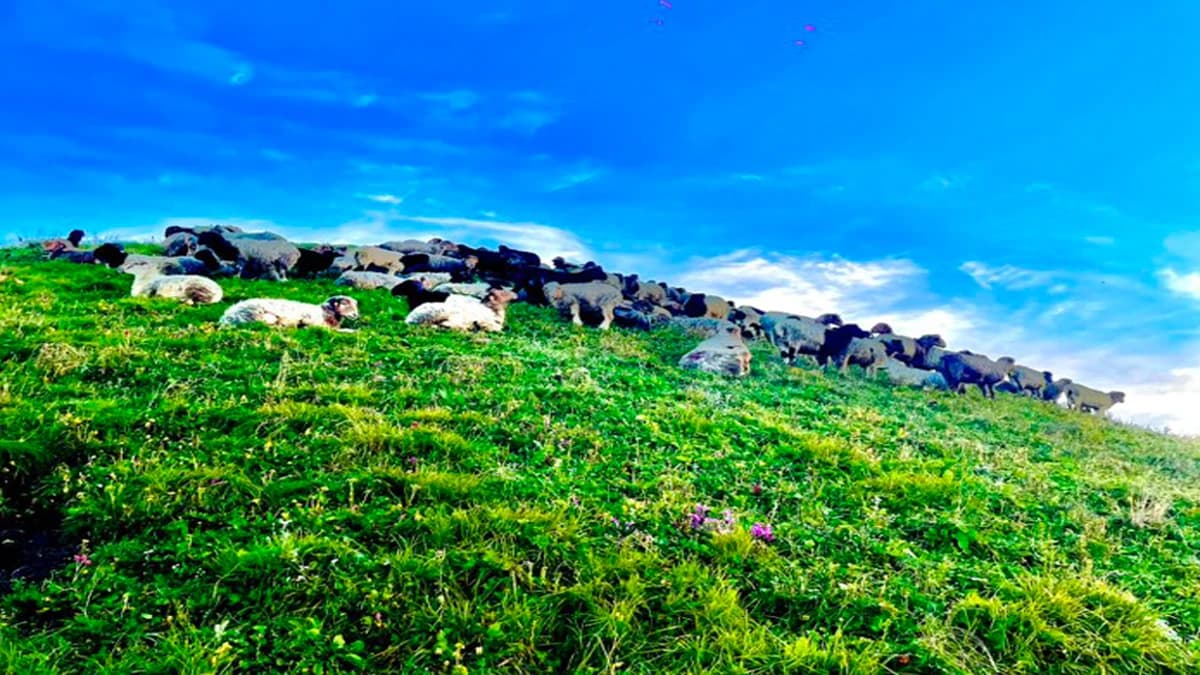 Kori Danda Trek