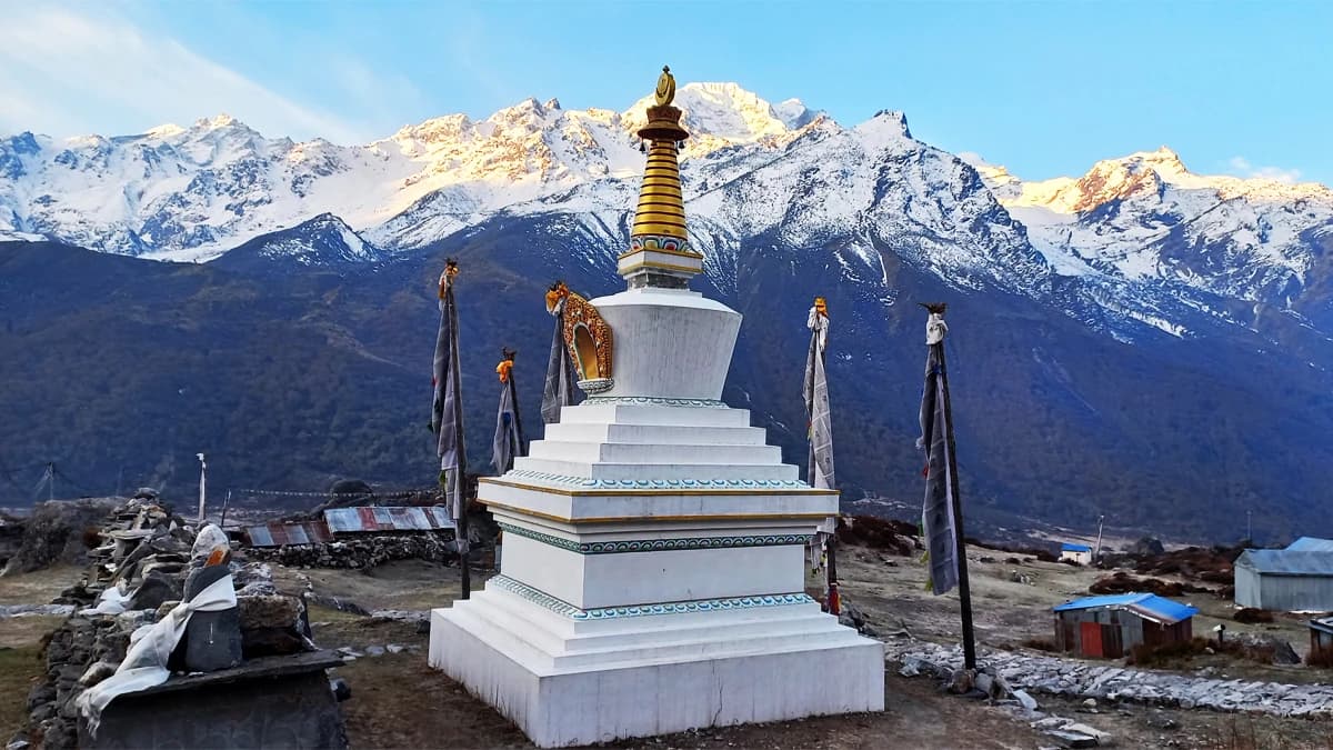 Short Langtang Trek -7 Days
