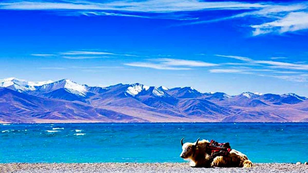Lhasa Tour: 4 Nights/5 Days
