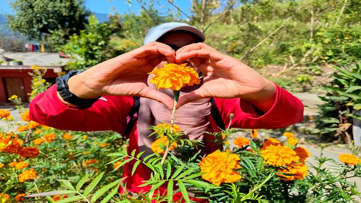 Sundarijal Hiking: Scenic Trek in Kathmandu