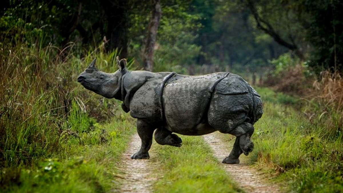 Nepal Tour Package -14 Days