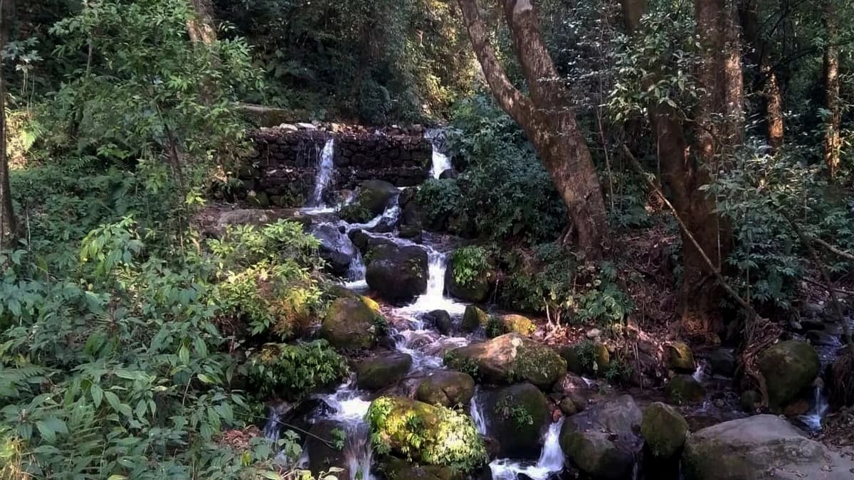 Shivapuri Day Hiking