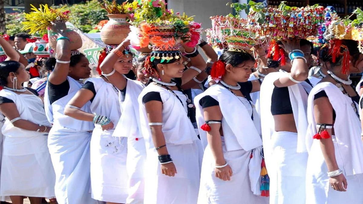 Chitwan Jungle Safari Tour: 1 Night/2 Days