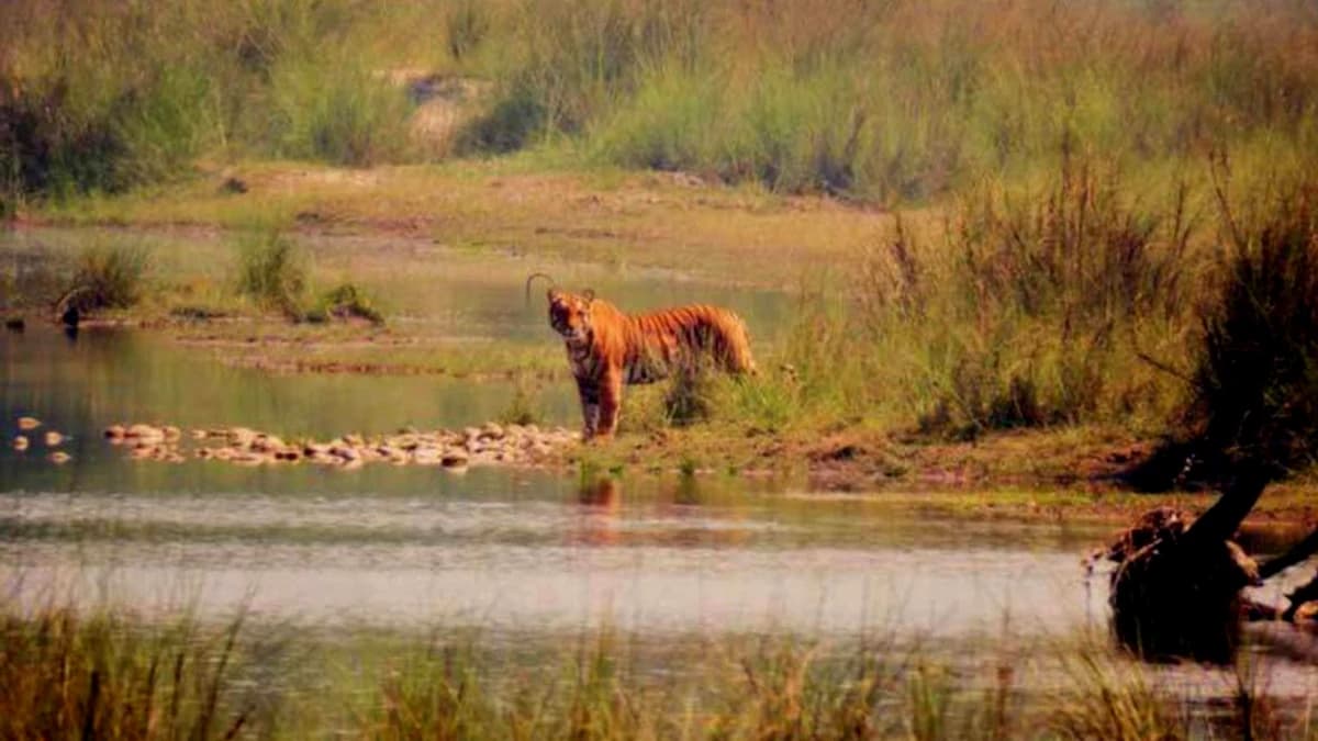 Chitwan Safari Tour :2 Nights/3 Days