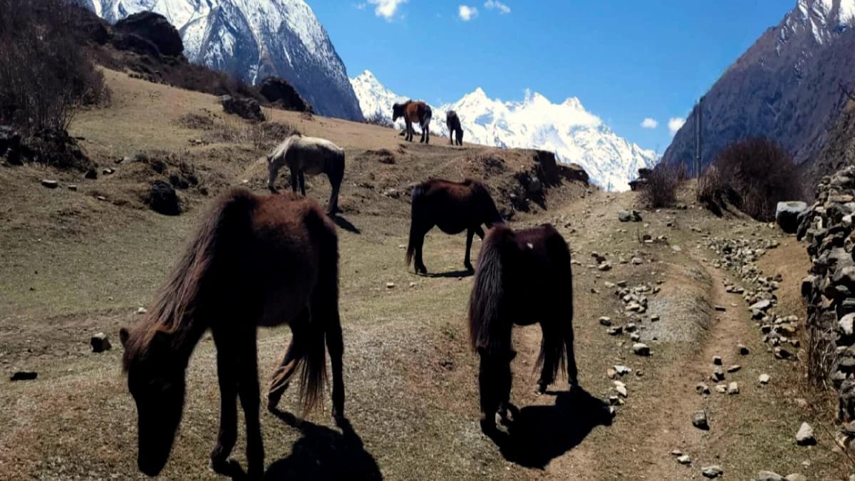 Tsum Valley Trek