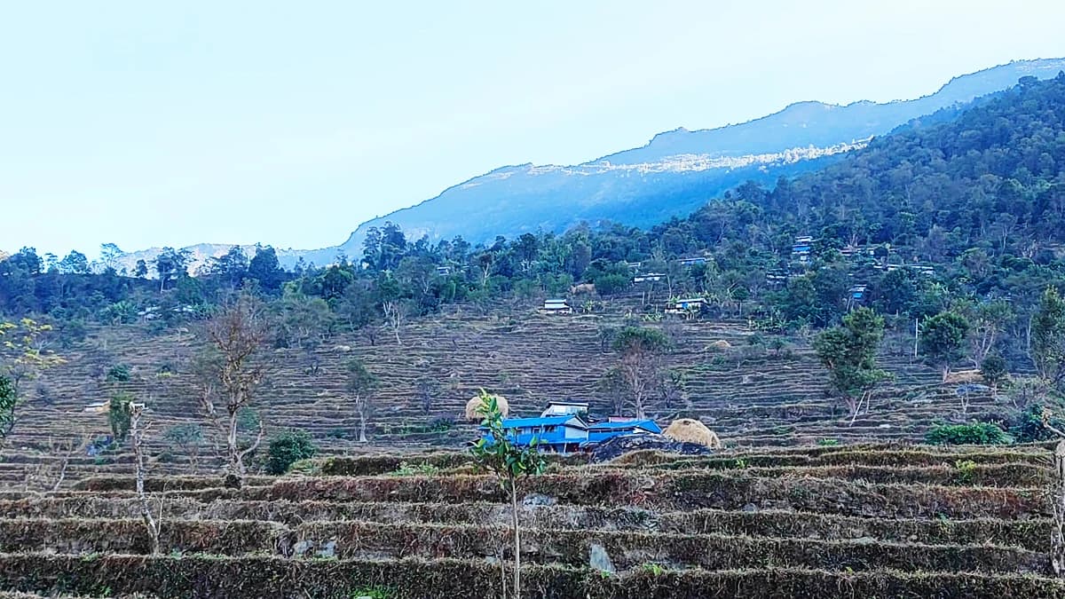 Organic Village Tour