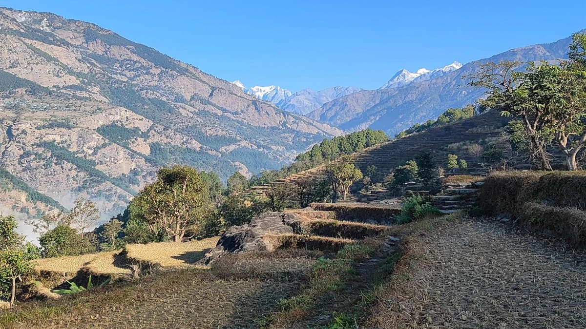 Organic Village Tour