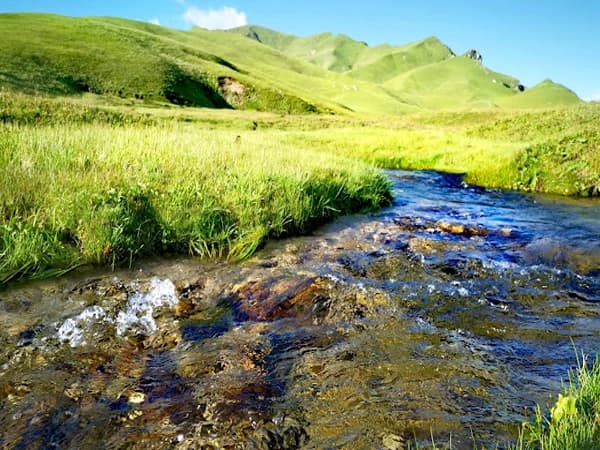 Badimalika Trek: 9 Days