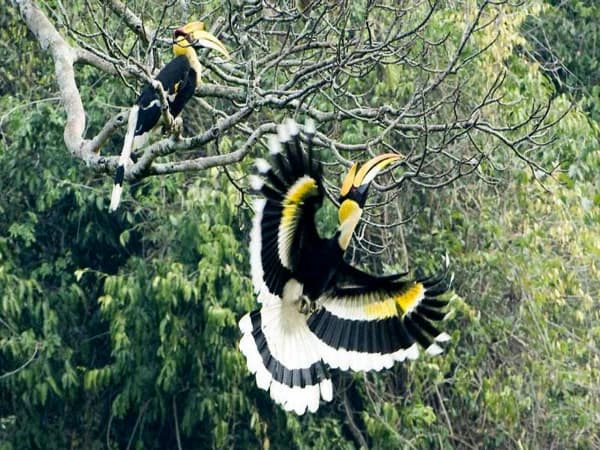Bird Bardia Tour 1