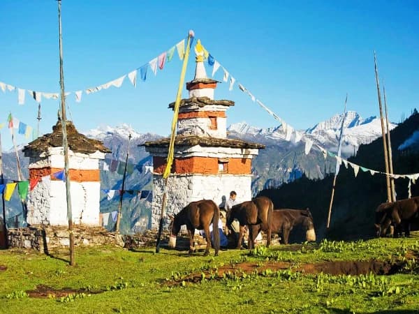 Bumdra Trek In Bhutan