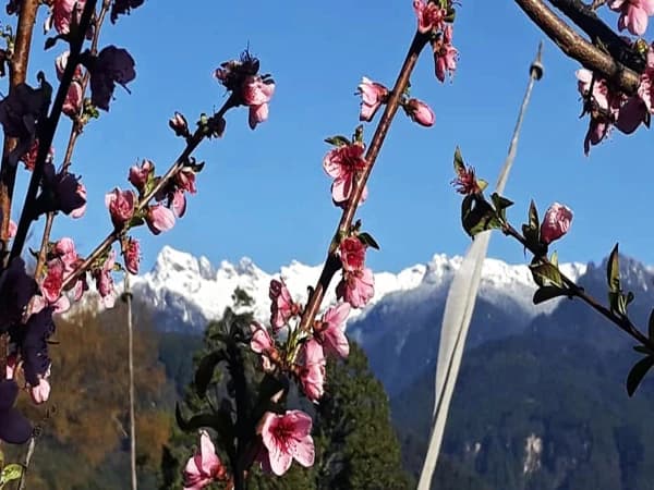 Bumdra Trekking In Bhutan From Nepal
