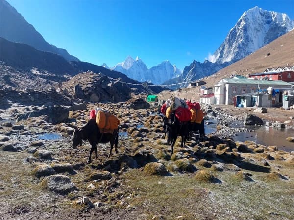 Dingboche 1