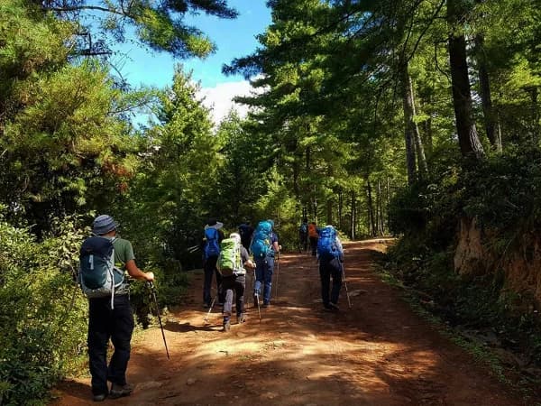 Druk Path Trek