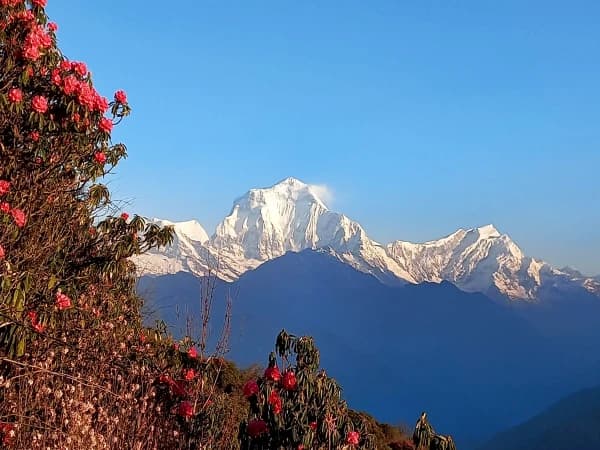 Ghorepani Poon Hill 1