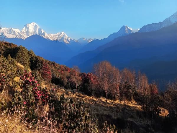 Ghorepani Poon Hill Trek
