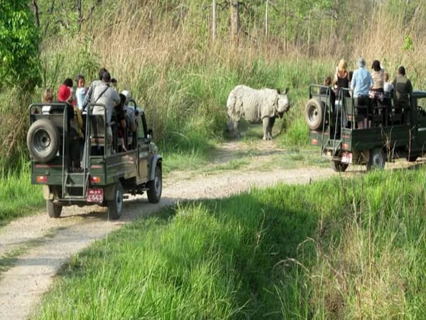 Jeep Tour Chitwan