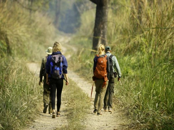 Jungle Walk Chitwan 1