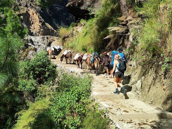 Manaslu Short Trek