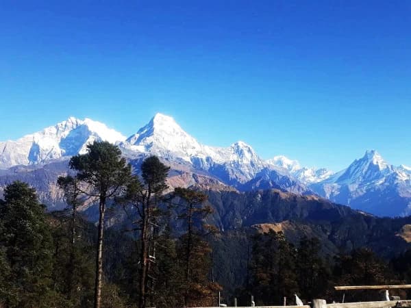 Mohare Danda Trek Cost
