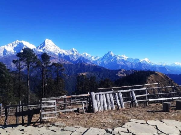 Mohare Danda Trek Nepal