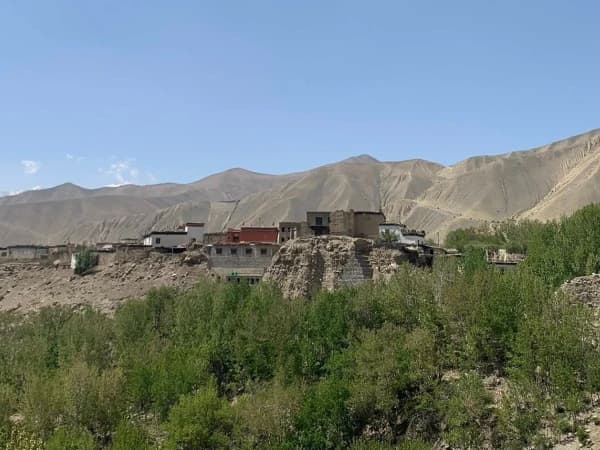 Mustang Trek 6