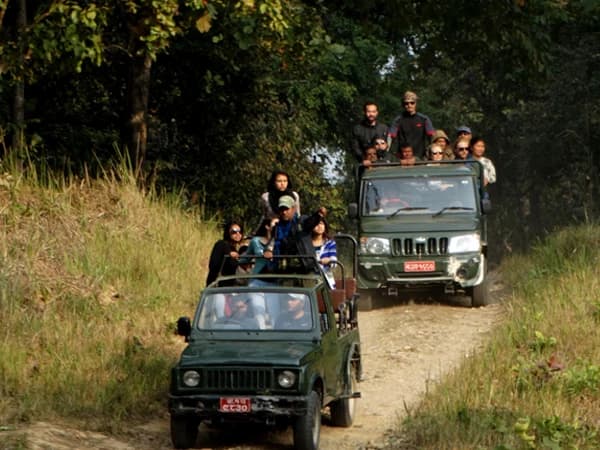 Chitwan Jungle Safari Tour: 1 Night/2 Days