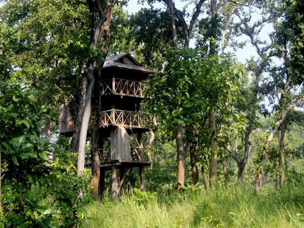 Chitwan Jungle Safari Tour : 3 Nights/ 4 Days